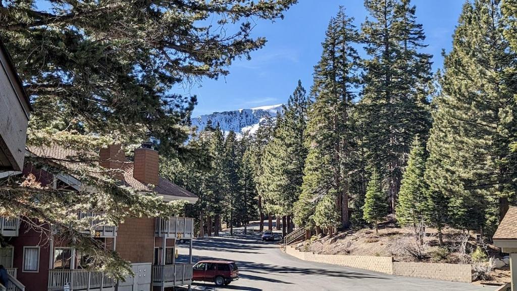 Cozy Condo Walking Distance To Village And Gondola W/ Pool/ Jacuzzi Sleeps 4. Mammoth Lakes Dış mekan fotoğraf
